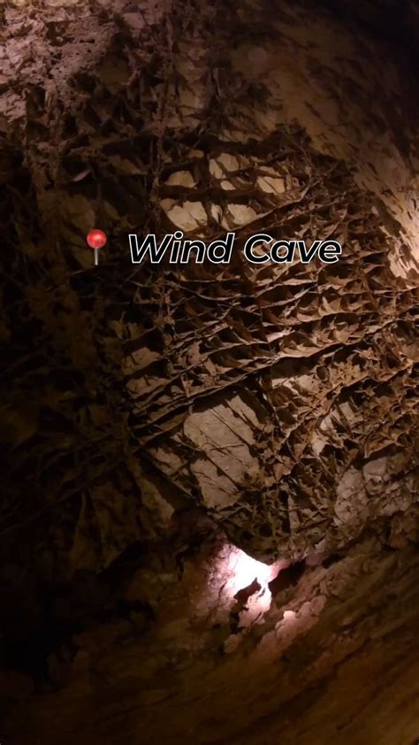 Wind cave world s first cave national park – Artofit