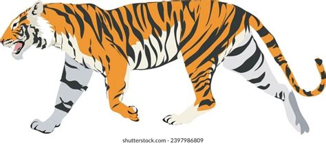 Tiger Walking Side View Drawing