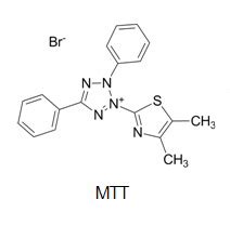 MTT Assay | AAT Bioquest