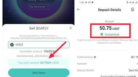 Update Catly Live Withdrawal Reward Today CATLY Airdrop YouTube