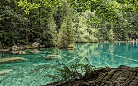 Herunterladen Hintergrundbild Blausee Berg See Wald Berge Schöne