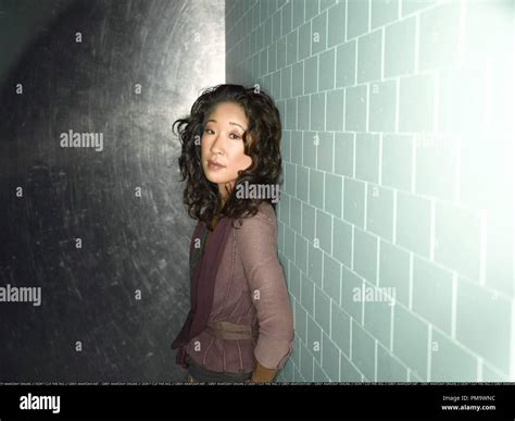 GREY'S ANATOMY - ABC's "Grey's Anatomy" stars Sandra Oh as Cristina ...