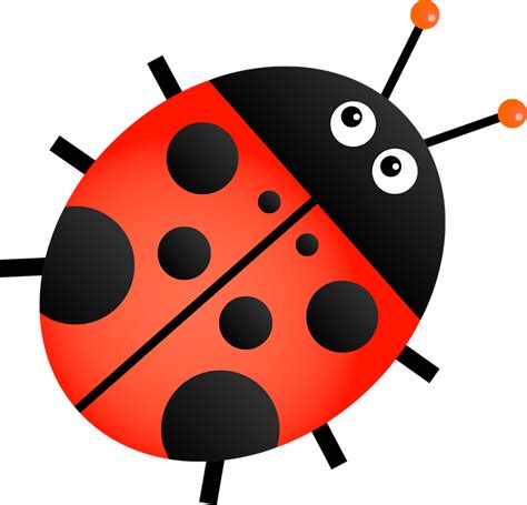 Ladybug PNG Images Transparent Free Download | PNGMart.com