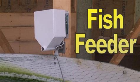 Automatic Fish Feeder (with Pictures) - Instructables