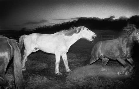 Trent Parke Magnum Photos Street Photography Parkes