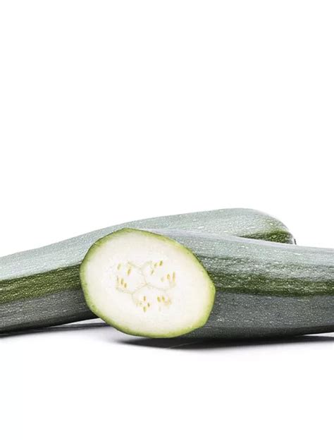 Cucurbita Pepo Subsp Pepo Convar Giromontiina Zucchini Baumschule