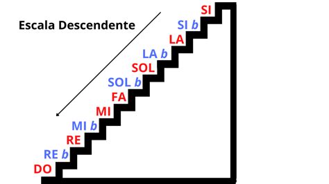 La Escala Musical Tutorialesdeviolin