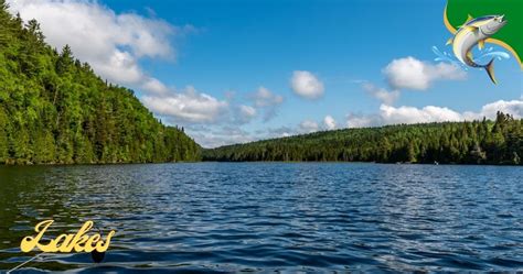 The 7 Best Fishing Lakes In Upper Peninsula Captain Dixon