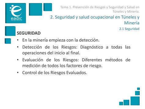 2 Presentación Prevención de Riesgos en Túneles y Minería pdf