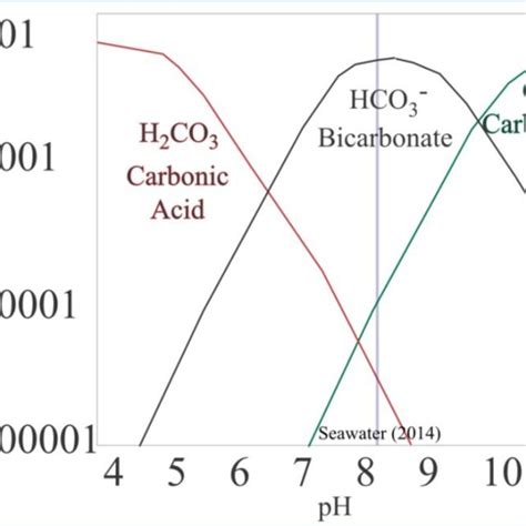 1 Simplified Model Of The Seawater Carbonate System Adapted From