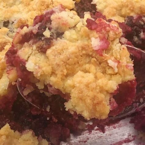 Old Fashioned Blackberry Cobbler Daddys Favorite