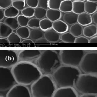 Fe Sem Top View Images Of Porous Titanium Oxide Films Anodized In