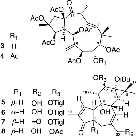 New 13 14 And 16−18 And Known 15 Diterpene Esters Isolated From Download Scientific