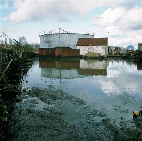 Oil Pollution Photograph by Robert Brook/science Photo Library