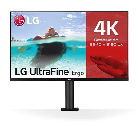 LG Ultrafine 32UN880P B 32 DEL IPS UltraHD 4K FreeSync USB C