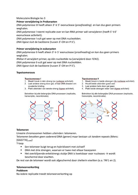 Moleculaire Biologie Les 3 DNA Polymerase I Neemt Replicatie Over En