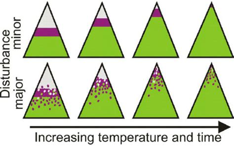 Schematic illustration of vegetation zones on a mountain determined by ...