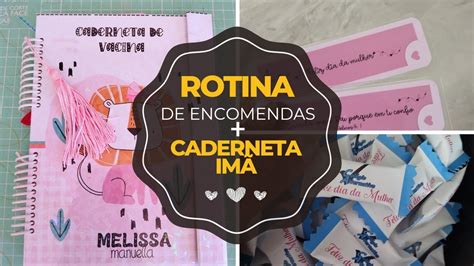 Caderneta De Vacina Im E Rotina De Encomendas Youtube