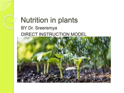 Nutrition In Plants Direct Instructin Pptx