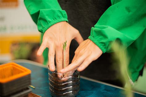 Wecandoo Apprenez Cultiver Votre Potager Sans Arrosage Avec Philippe