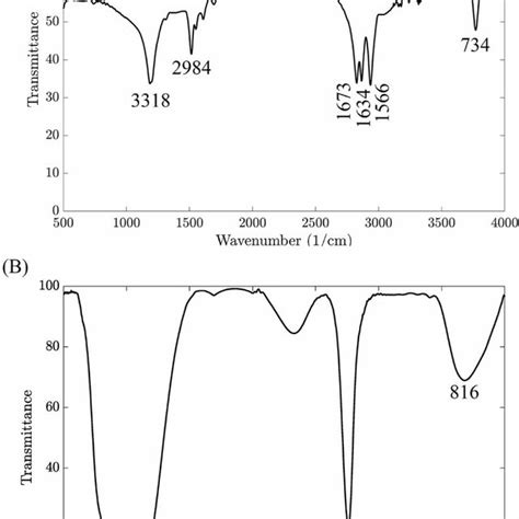 A The FTIR Spectrum Of NIPAAm B The ATR FTIR Spectrum Of PNIPAAm