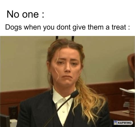 Puppy Face ! : r/memes