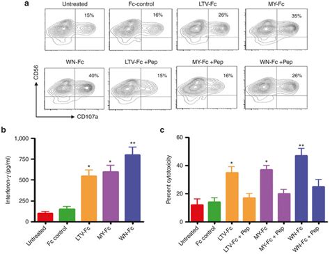 Activation Of Nk Cells And Induction Of Adcc A Nk Cells 5 × 104 Download Scientific