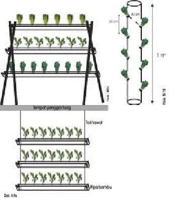 Cara Mudah Membuat Media Vertikultur Dengan Pipa Paralon Sederhana