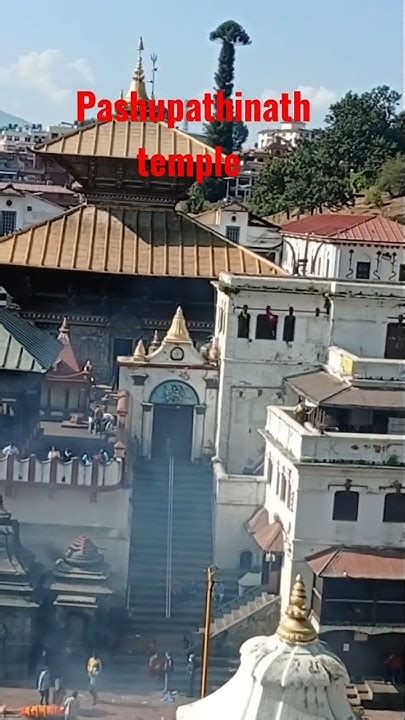 Pashupathinath Temple In Kathmandu पशुपतिनाथको मन्दिर काठमाडौँ Youtube