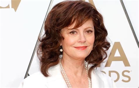 Susan Sarandon Cast as ‘Blue Beetle’ Villain, Not Sharon Stone