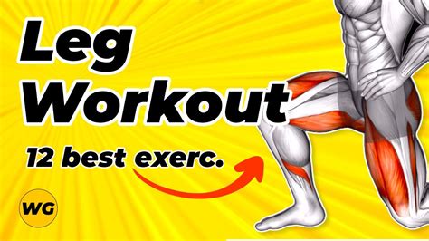 Leg Workout At Home For Men (12 Best Leg Exercises) 100% Result / No equipment – WeightBlink