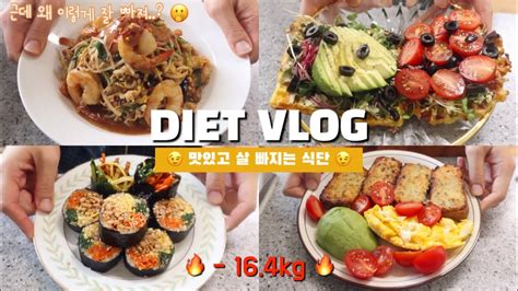 Sub Diet Vlog 16kg 감량 성공🔥 팟타이 두부면와플 키토마늘빵ㅣ살빠지는 다이어트 식단ㅣ다이어트브이로그ㅣ