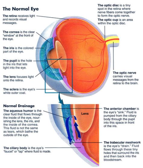 Conditions Treated Washington Eye Consultants