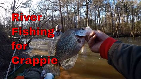 River Crappie Fishing With Creek Fishing Advenures Part Youtube