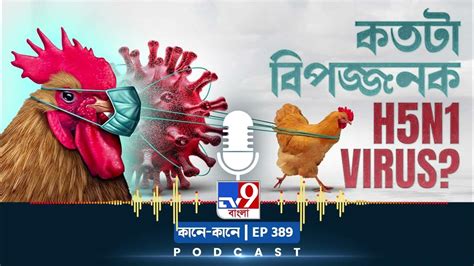 Tv9 Bangla Podcast Episode 389 I H5n1 Virus আবার কি এক মহামারীর সামনে পৃথিবী Youtube