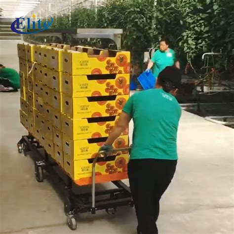 Harvesting Trolley For Farm Greenhouse Harvest Trolleyqingdao Elite