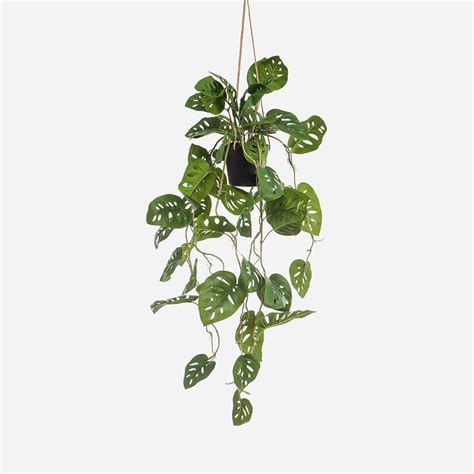 Kunstplant Hangend Monstera Cm Mooie Kunstplanten Floraworks