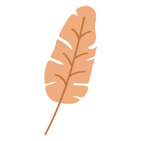 Diseño Png Y Svg De Icono De Hoja De Naturaleza Botánica De Otoño Para