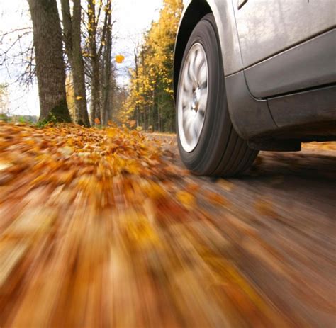 Sicher Durch Laub Matsch Und Nebel Ratgeber Autofahren Im Herbst Welt