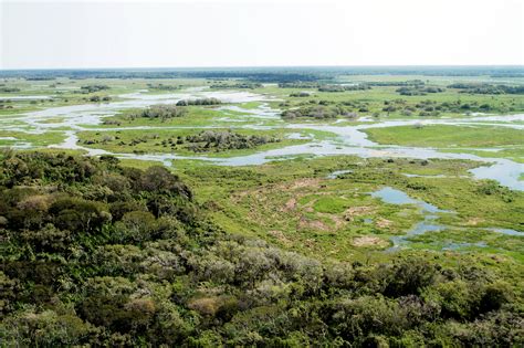 Exemplo De Preservação Mato Grosso Do Sul Mantém 83 Da Vegetação Do