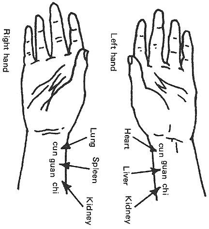 DavidCohen:Traditional Chinese Medicine II: PULSE DIAGNOSIS