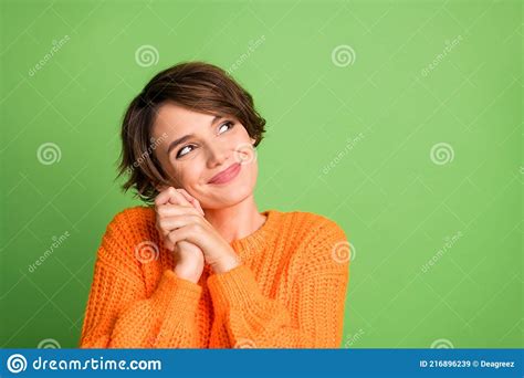 Portrait Of Optimistic Nice Brunette Lady Hold Hands Look Empty Space