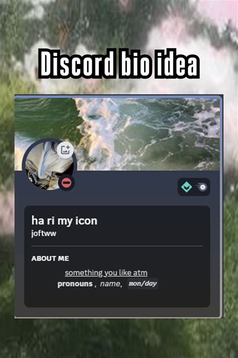 Discord Bio Idea