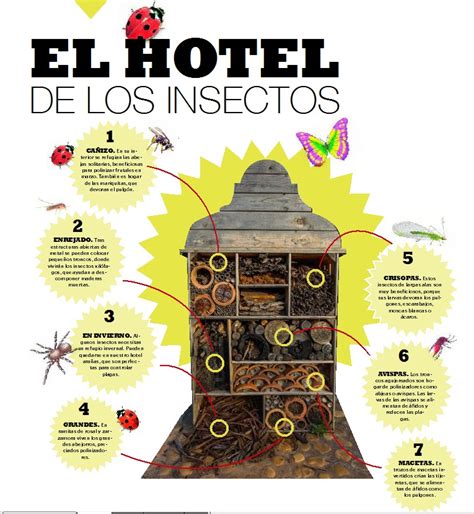 El Hotel De Los Insectos