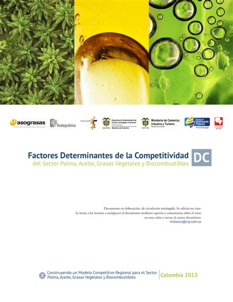 Factores Determinantes De La Competitividad