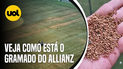 GRAMADO DO ALLIANZ PARQUE VEJA EXCLUSIVIDADE COMO ESTÁ O CAMPO DO