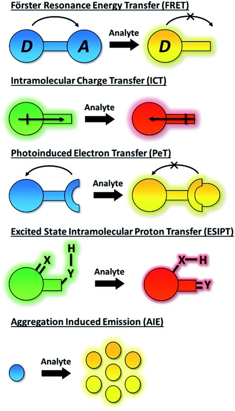 Fluorescent Small Organic Probes For Biosensing Chemical Science Rsc