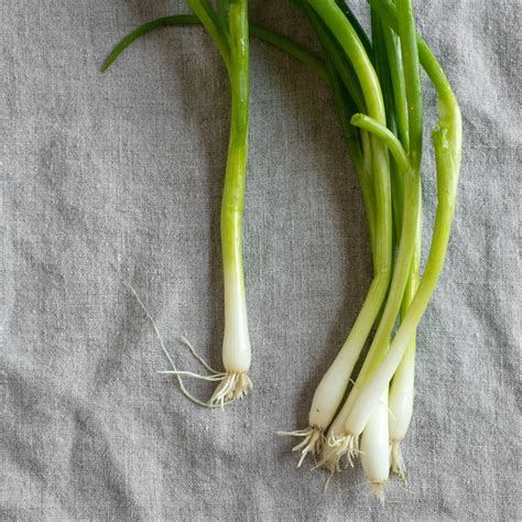 green onions - Doctor Yum Recipes