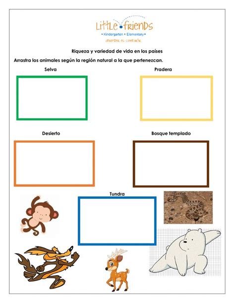 Riqueza y variedad de vida en los países worksheet