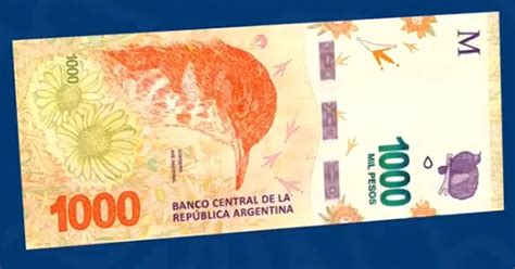 El Banco Central Presentó El Billete De 1 000 Pesos Con La Imagen Del Hornero Infobae